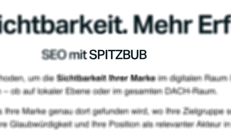Was ist ein Fokus Keyword?